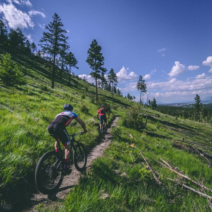 Cyclists in group training ride